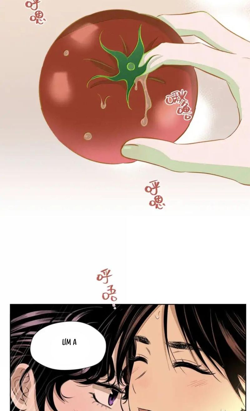Khúc Hát Vượt Trần Thế Chapter 142 - 42