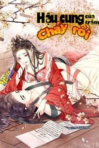 HẬU CUNG CỦA TRẪM CHÁY RỒI!